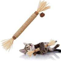 Pet Toy Teasing Cat Teething Gnawing Stick Raffia Grass Tooth Cleaning Cane Cat Toy Pet Interactive Cat Toy Toys