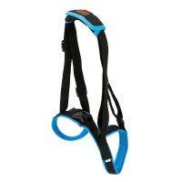 Dog Lift Harness Steady Sling Helps Dogs with Limited Mobility Weak Front or Rear Legs Stand Up Best Alternative