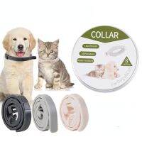 ZZOOI 39/62CM  Flea Collar Anti-flea Cat Collars Effectively Remove Pests Pests Collar For Cats Dog No Flea Grooming Tool Pet Supplies