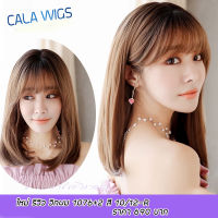 วิกผม calawigs วิกผมไหมเกาหลี ทรงใหม่ รหัส 1076 รวมสี ( แถม หวี กับ เน็ต มูลลาค่า 150 บาท)--