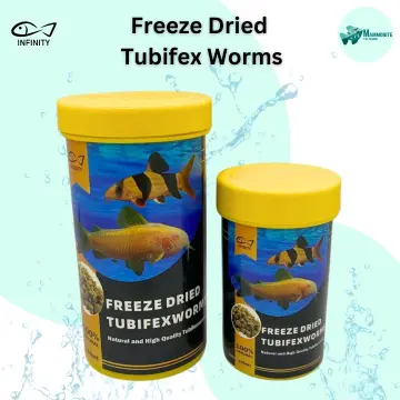 Live tubifex outlet worms for sale