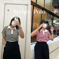 - Stripe POLO - เสื้อโปโลลายทางผ้าร่อง