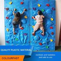 ปีนกำแพงหิน 20 ชิ้น Multi - สี Textured Climbing Rocks Wall Stones Kids Assorted Kit Bolt