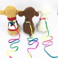 Adjustable Cat Pet Collar Harness Leash Set For Cats Dog Small Pets Breakaway Rainbow Nylon Rabbit Dogs Leash DH67