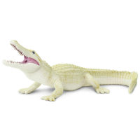 Safari Ltd. : SFR291929 โมเดลสัตว์ White Alligator