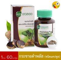 Khaolaor   กระชายดำแคปซูล กระชายดำพลัสแอล-อาร์จินีน 60 แคปซูล Krachaidum Plus L-Arginine KHAOLAOR