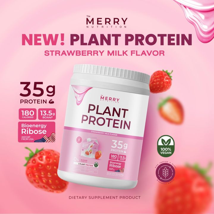 1-กระปุก-the-merry-plant-whey-protein-dark-chocolate-thai-tea-mixed-berries-matcha-green-tea-strawberry-milk-เดอะ-เมอร์รี่-เวย์-โปรตีน-ชงดื่ม-จากพืช