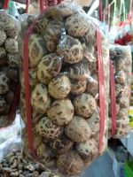 เห็ดหอมลายญี่ปุ่นดอกเล็ก  (Red Sea 精选茶花菇 Tea Flower Dried Mushroom size s) 500g