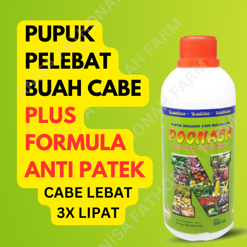 Pupuk Pelebat Buah Cabai Pupuk Organik Cair Cc Pupuk Cabe Ager Berbuah Lebat Pupuk