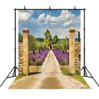 【CW】 Gate Walkway Garden Photography Background for Photograph Accessories Child Portrait Vinyl cloth Backdrop Photo Studio