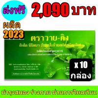 Y-Gink Ginkgo Biloba [10 กล่อง] วายกิง ใบแป๊ะก๊วยสกัด