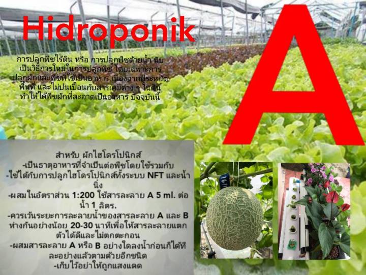 ปุ๋ยไฮโดรโปนิกส์-ปุ๋ยab-ปุ๋ยน้ำ-สำหรับปลูกผักไร้ดิน-ขนาด-250ml-1000ml-สำหรับปลูกผักไร้ดิน-ผักสลัด-ผักไทย-new-ส่งฟรี