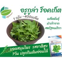 เมล็ด อรูกูล่า ร็อคเก็ต (Rocket Arugula) 400 เมล็ด ผักร็อคเก็ต ผักสลัด สมุนไหร รสชาติสูง 7วัน ปลูกกินต้นอ่อนได้ นำเข้าจากสหรัฐอเมริกา