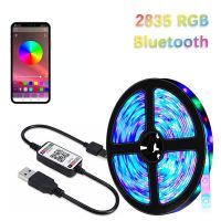 5V Usb Bluetooth Rgb Led strip lights Tape For Smart TV Living Gaming Room Decoration Bedroom Wedding Home Decor Lighting Lamp LED Strip Lighting