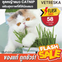 [ของแท้]?ถูกสุด! พร้อมส่ง?Vetreska ชุดหญ้าแมวพร้อมปลูก ช่วยให้น้องแมวสุขภาพดี