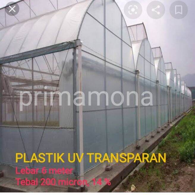 Plastik UV Greenhouse, Tebal 200 micron, Lebar 6 meter, (6x1)m Blocking