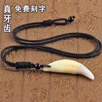 Free lettering to ward off evil spirits Black Dog Tooth Pendant Necklace Real Tibetan Mastiff Tooth Amulet Tooth Pendant Wolf Tooth Shaped Ornaments for Men and Women 1U8C 1U8C