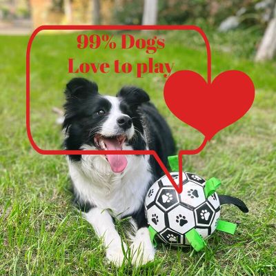 Interactive Dog Football Reflective Soccer Ball Inflated Training Toy Outdoor Border Collie Balls For Large Dogs Pet Supplies Toys