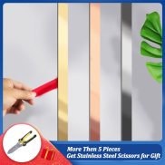 5m Stainless Steel Flat Decorative Lines Self