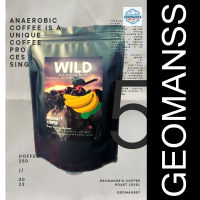 Wild Anerobic เมล็ดกาแฟคั่วอ่อนไปกลาง 250 กรัม