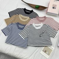 Womens Korean Style Casual Striped Short Sleeve Knitted T-Shirt