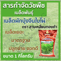 เมล็ดผักบุ้งจีนใบไผ่ ตราสามเหลี่ยมทองคำ ขนาด 1 กิโลกรัม ใบเรียวยาว ความงอกสูง ปลูกสั้นเก็บเกี่ยวไว