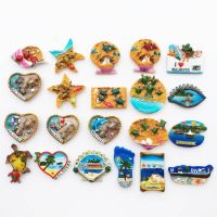 ✺⊕ Asia Maldives Tourist Souvenir Fridge Magnets Decoration Articles Handicraft Magnetic Refrigerator Collection Gifts