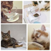 New Transparent Slanted Tilted Cat Bowl Cat Slow Feeder Stylish Dog Cat Drinking Bowls Non-slip tilting cat bowl Pet Supplies