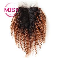 Curly Human Hair Closure Brazilian Hair Weave Curly / Body Wave T Part Lace Closure Only Free Shipping Middle Part