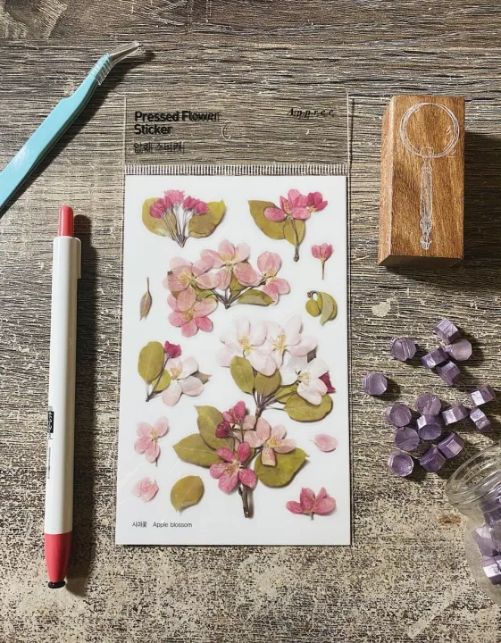 Appree Pressed Flower Stickers Apple Blossom Lazada PH