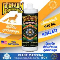 (ขวดแท้) Boomerang - FoxFarm [946 ML] Bush Doctor ลดความเครียดให้ต้นไม้ ปุ๋ยเกิน Fox Farm ปุ๋ยเร่ง ปุ๋ยทำดอก ปุ๋ยทำใบ ใช้ได้ทั้งไฮโดรโปนิกส์และวัสดุปลูกอื่นๆ