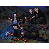 The Vampire Diaries Printed Water-Soluble Canvas 11CT Cross-Stitch Kit Embroidery DMC Threads Handiwork Sewing Design