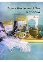 พญายอ เสลดพังพอนตัวเมีย 90g 1ซอง Ckinacanthus burmanni Nees ของแท้100%ถุงซิปใส เก็บใช้ง่ายของฝาก ครอบครัว By SS Thai