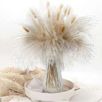 Pampas Grass ตกแต่งดอกไม้แห้งช่อดอกไม้ NATURAL Lagurus Decor สำหรับ pampas Grass แจกัน Boho Home Decor