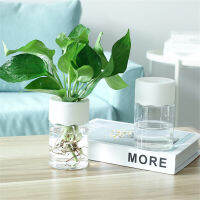 Home Desk Container Hydroponic Planter Plants Water Planting Vase Plastic