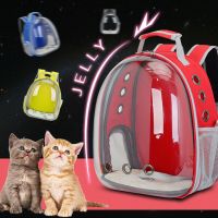 Portable Transparent Cat Bag Pet Cat Carrier Bag Capsule Breathable Travel Parrot Cat Dog Bird Backpack Kitten Carrying Cages