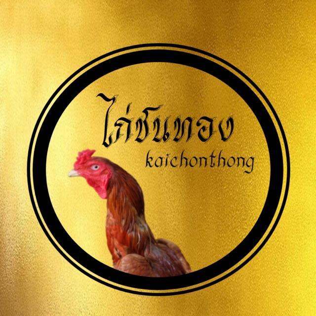 กระเป๋าล่อไก่ชนแบบห่วงถือ-ใช้สำหรับออกกำลังกายไก่ชน-คละสี-ให้มีความแข็งแรง-ยาไก่-ไก่ชน-ยาไก่ชน-กระเป๋าล่อไก่ชนแบบห่วงถือ-ใช้สำหรับออกกำลังกายไก่ชน-ให้มีความแข็งแรง-ผ้าเนื้อดีเกรด-aaa-ไม่เป็นอันตรายต่อ