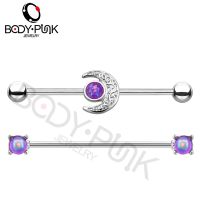 BODY PUNK 14G Surgical Steel Industrial Piercings 2PCS/Set Barbell Helix Tragus Stud Cartilage Earrings Moon Purple Stone Women