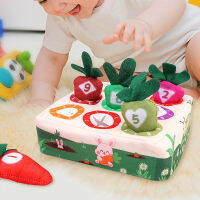 Montessory Plush ตุ๊กตาดึงแครอทของเล่นสำหรับ Early Education หัวไชเท้าเกมเด็กทารกเด็กผู้หญิงการเรียนรู้ Sensory Toys