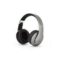 Wesdar-BH2 Bluetooth Headphone (Grey)