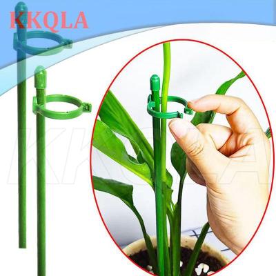 QKKQLA 5/10pcs plant Flower Potted Support stand Holder Stake Stander Fixing Tool Gardening Supplies Shrub for Orchid Bonsai Daisy q1