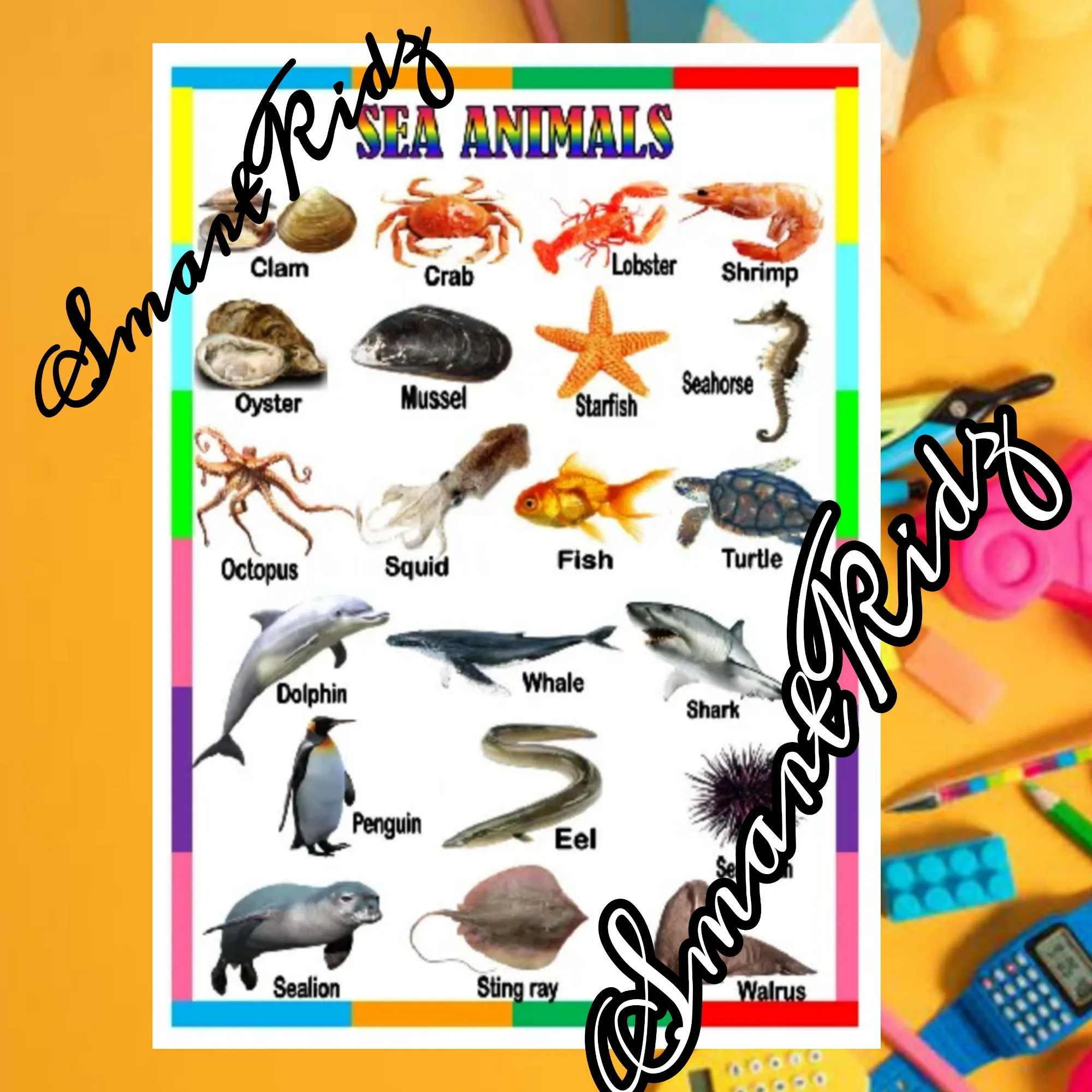 Laminated Educational Chart for Kids Laminated Educational Chart for Kids