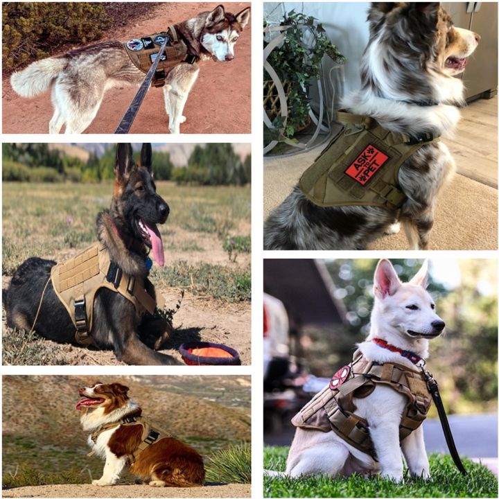 yf-dog-harness-german-shepherd-malinois-training-and-leash-set-all-breeds-dogs