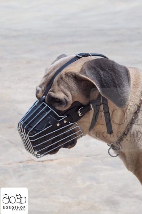 ตะกร้อครอบปากสุนัข-สินค้าพร้อมส่งจากไทย-ไซส์-m-l-xl-xxl