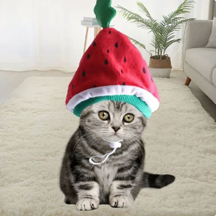 oak-อุปกรณ์เสริมเสริม-หมวกสำหรับแมวคริสต์มาส-ตุ๊กตาผ้าพลัฌ-รูปแตงโมแตงโม-หมวกแต่งตัวลายแมว-น่ารักน่ารักๆ-ชุดคลุมศีรษะ-หมวกแตงโมแมว-แมวแมวแมว
