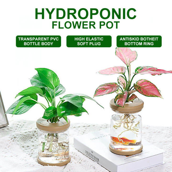 Water Plant Pot Plastic Transparent Hydroponic Small Pots for Indoor