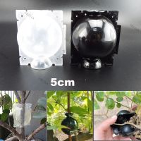 5pcs/Lot 5cm High Pressure Garden Plant Rooting Ball Root Growing Box Grafting Roots Grow Breeding Case YB21TH