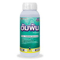อัมพัน - ไทอะมีทอกแซม 35% FS สารป้องกันกำจัดแมลง ชนิดดูดซึม แบบถูกตัวตายและกินตาย ขนาด 500 ซีซี.