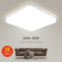 【CW】 Led Ceiling Lamp Lights Warm Cold Lustre 220V 20W30W 40W Panel for Room Bedroom Lighting