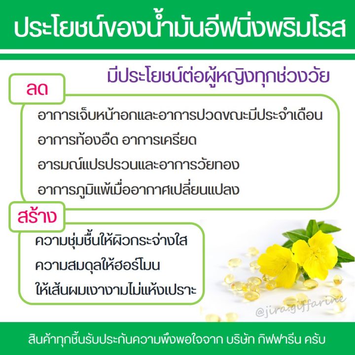 พริมโรส-กิฟฟารีน-น้ำมันอีฟนิงพริมโรส-กิฟฟารีน-evening-primrose-oil